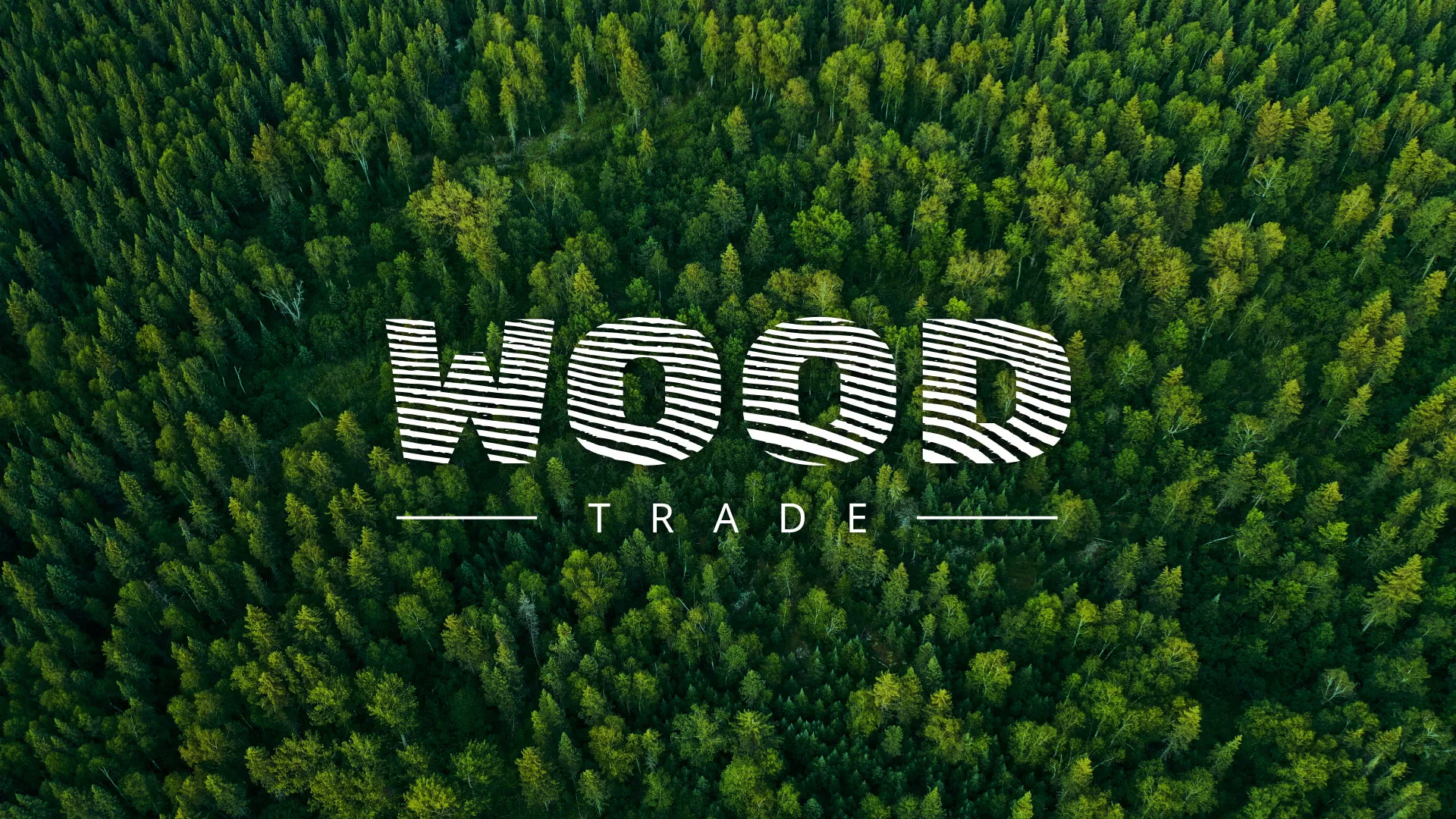 Разработка интернет-магазина компании «Wood Trade» в Торопце