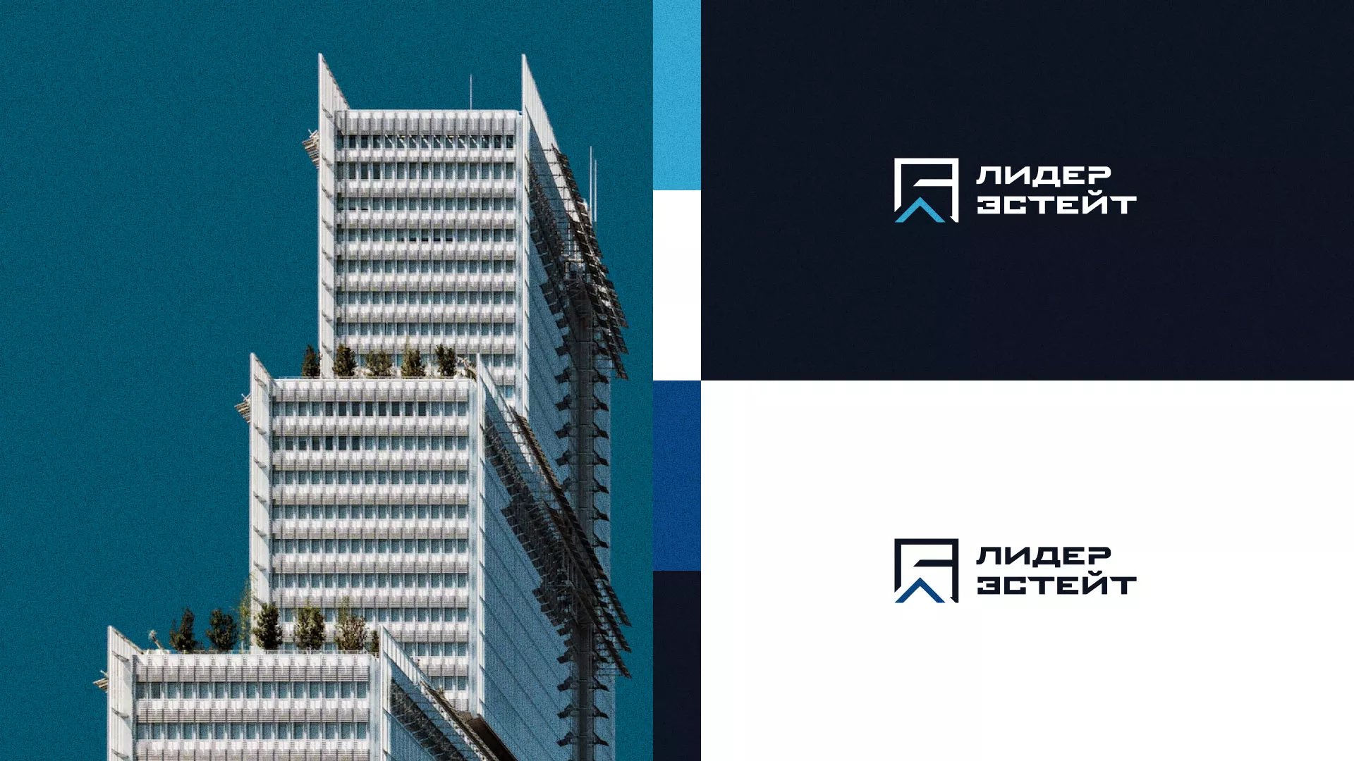 Разработка логотипа агентства недвижимости «Лидер Эстейт» в Торопце